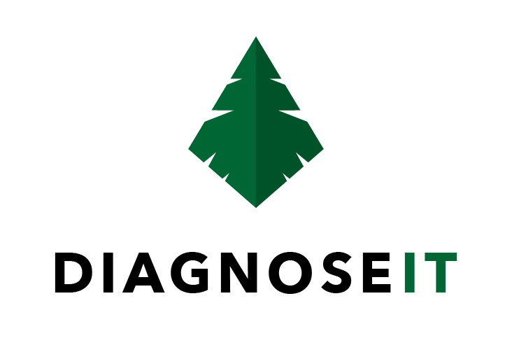 DiagnoseIT Logo